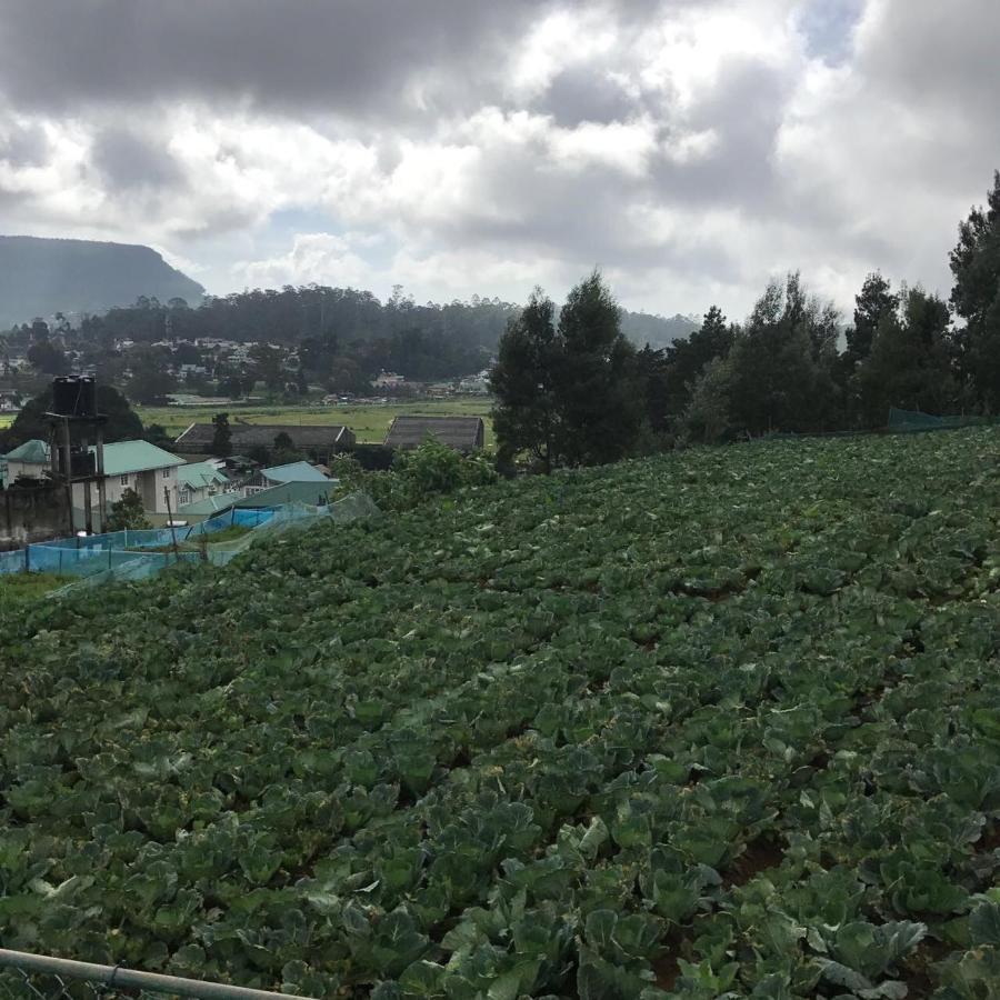 Dahlia Mount View Hotel Nuwara Eliya Exterior photo